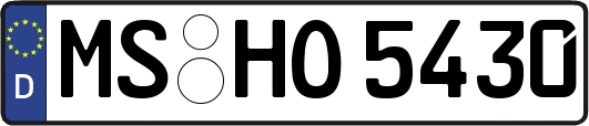 MS-HO5430