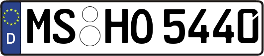 MS-HO5440
