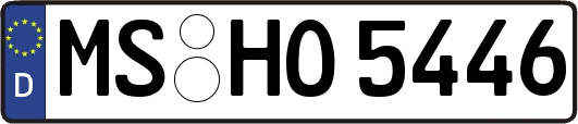 MS-HO5446