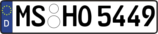MS-HO5449