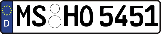 MS-HO5451