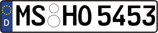 MS-HO5453