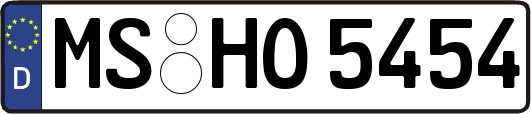 MS-HO5454
