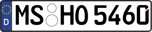 MS-HO5460