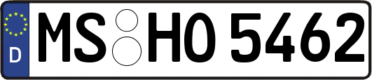 MS-HO5462
