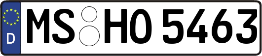 MS-HO5463