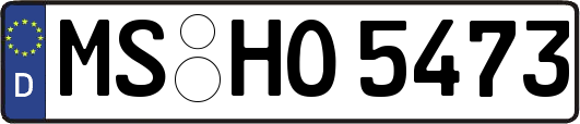 MS-HO5473