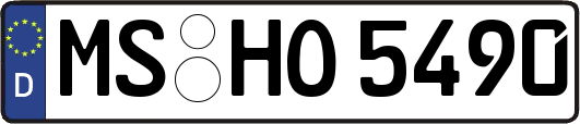 MS-HO5490