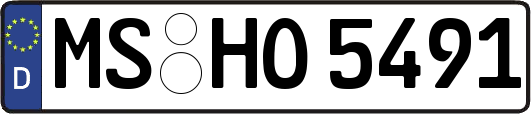 MS-HO5491
