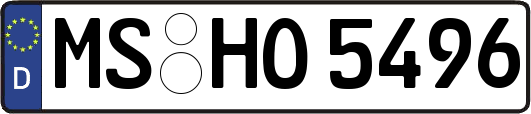 MS-HO5496