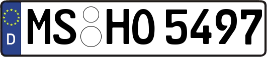 MS-HO5497