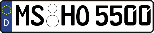 MS-HO5500
