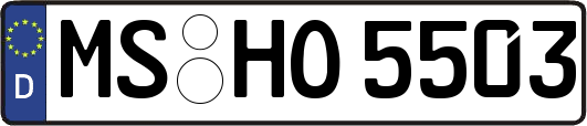 MS-HO5503