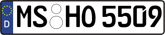 MS-HO5509