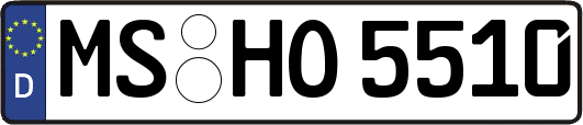 MS-HO5510