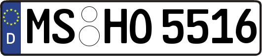 MS-HO5516
