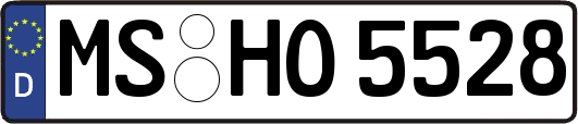 MS-HO5528