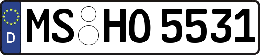 MS-HO5531