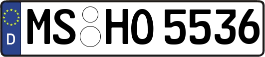 MS-HO5536