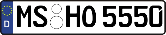 MS-HO5550