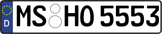 MS-HO5553