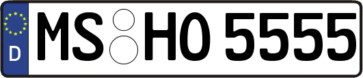 MS-HO5555