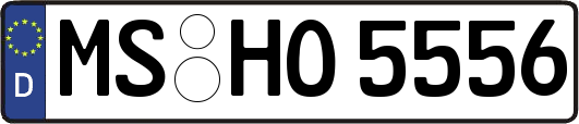 MS-HO5556