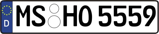 MS-HO5559