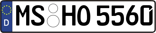 MS-HO5560