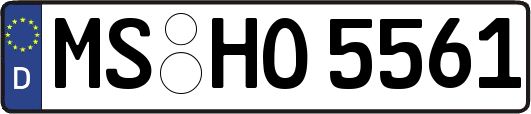 MS-HO5561
