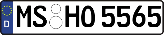 MS-HO5565