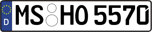 MS-HO5570
