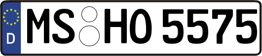 MS-HO5575