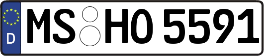 MS-HO5591