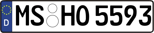 MS-HO5593