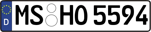 MS-HO5594