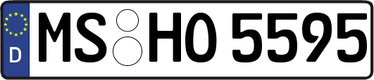 MS-HO5595