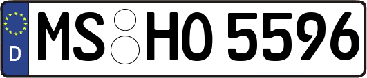 MS-HO5596
