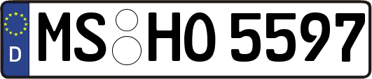 MS-HO5597