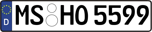 MS-HO5599