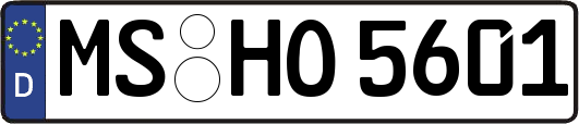 MS-HO5601
