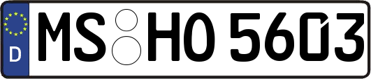 MS-HO5603