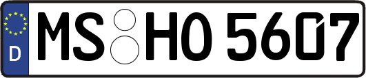 MS-HO5607