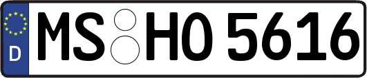 MS-HO5616