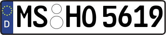 MS-HO5619