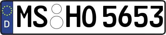 MS-HO5653