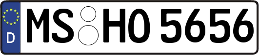 MS-HO5656