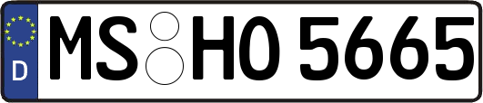 MS-HO5665