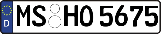 MS-HO5675