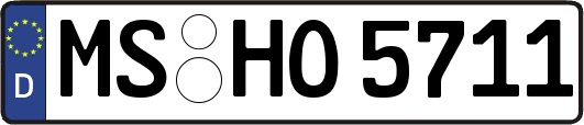 MS-HO5711